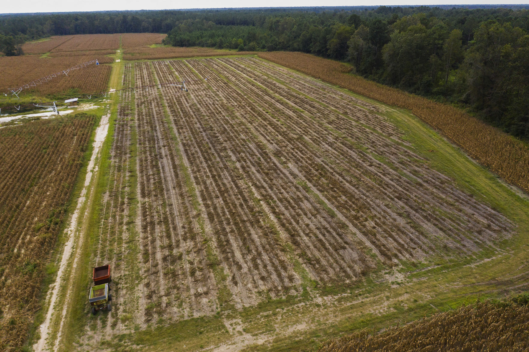 mowed field aerial.jpg